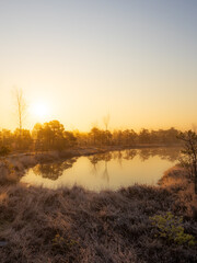 Sunrise, Misty morning, Foggy landscape, Swamp, Marshland, Wetlands, Nature, Golden hour, Moody, Atmospheric, Ethereal, Tranquil, Serene, Reflection, Water, Stillness, Dawn, Early morning, Sunlight