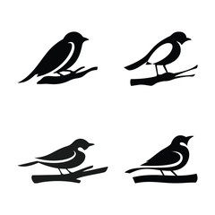 Bird logo on the branch