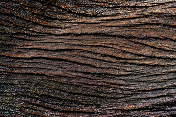 Fototapeta premium Textured Dark Wooden Surface with Natural Grain Patterns and Lines