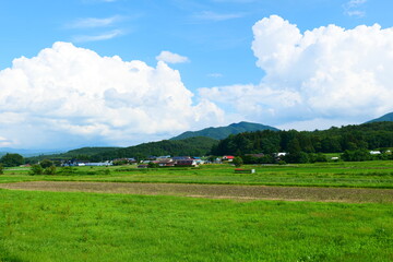 Obraz premium 日本の原風景、夏の山里。遠野、岩手、日本。7月上旬。