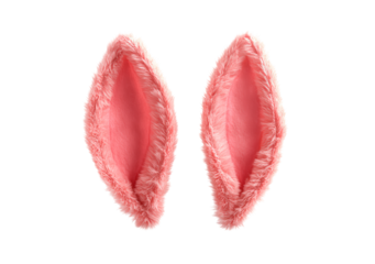 Cute pink furry bunny ears isolated on transparent background