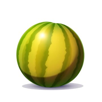 Watermalon illustration 