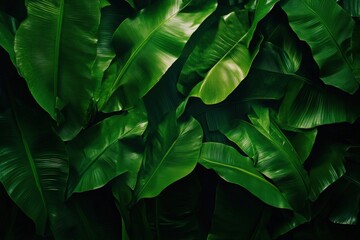 Vibrant tropical landscape with swaying banana trees in a lush setting Generative AI