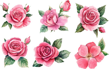 Hand-Painted Pink Rose – Watercolor Floral Clipart for Crafts