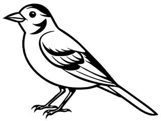 Obraz premium This is a bold and fierce animal mascot logo—perfect for sports teams, clubs, gaming avatars, or merchandise branding.