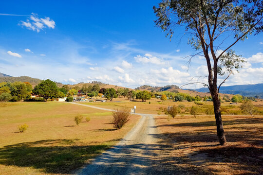 Rough country road on a valley covered by trees and dry grass