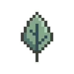 Fototapeta premium plant leaf pixel art for your needs