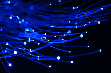optical fiber, a conductor of light and information