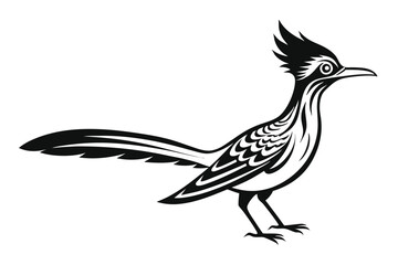 Roadrunner Bird Standing in Profile with Bold Black Line Art Design