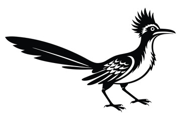 Roadrunner Silhouette Illustration, Monochrome Bird Graphics on White Background