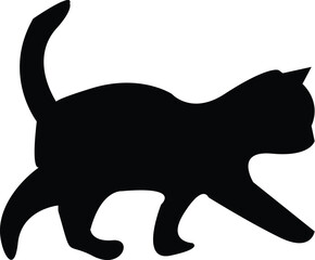 silhouette of a cat