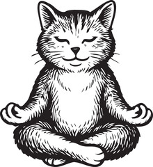 meditating cat
