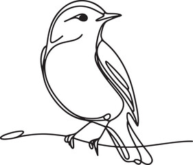 Elegant Warbler Bird Line Drawing Vector