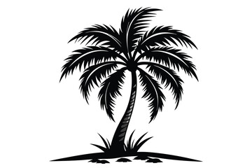 Fototapeta premium Silhouette Tropical Palm Tree with Detailed Fronds 