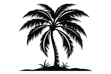 Fototapeta premium Silhouette of a Detailed Palm Tree with Fronds and a Textured Trunk on Soil