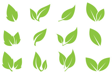 Green leaf icon set. Fill Leaves icon. Collection of green leaf. Elements design for natural, eco. elements for ui, ux, web. vector design on isolated background eps 10.