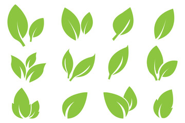 Naklejka premium Leaf icons set ecology nature element, green leafs icon set. environment and nature eco sign. Fill Leaves icon isolated background. Collection of green leaf. Elements design for natural, eco design.