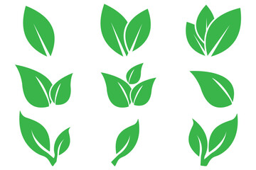Leaf icons set ecology nature element, green leafs icon set. environment and nature eco sign. Fill Leaves icon isolated background. Collection of green leaf. Elements design for natural, eco design.