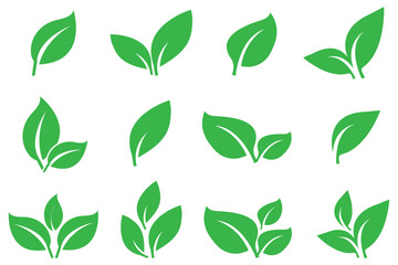 Leaf icons set ecology nature element, green leafs icon set. environment and nature eco sign. Fill Leaves icon isolated background. Collection of green leaf. Elements design for natural, eco design.