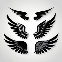 Obraz premium Intricate Feather Patterns: Symmetrical Black Wing Graphics