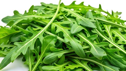 Fototapeta premium Fresh Arugula Leaves with Vibrant Green Color and Smooth Texture Isolated on White Background