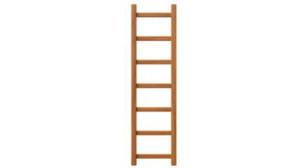 Isolated Wooden Ladder