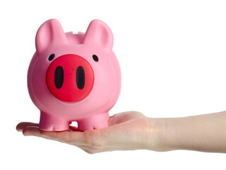 Pink piggy bank in hand on white background isolation