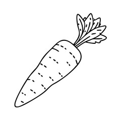 carrot icon, carrot vector illustration-simple illustration of carrot, perfect for carrot logos and icons