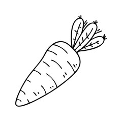 carrot icon, carrot vector illustration-simple illustration of carrot, perfect for carrot logos and icons