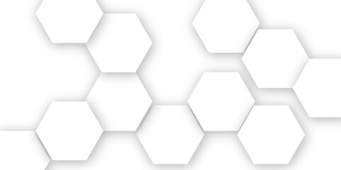 Abstract white hexagonal geometric background with shadow. Luxury white 3D futuristic honeycomb mosaic white background. Abstract white lines background. Vector Illustration.