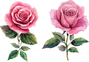 Fototapeta premium Floral Watercolor Clipart