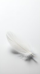 Obraz premium A single soft feather on a clean white surface, minimalist composition, ultra-high resolution, delicate texture, isolated object