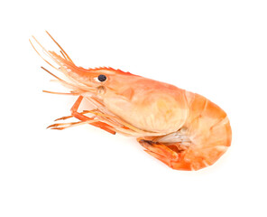 grill shrimp isolated on white background