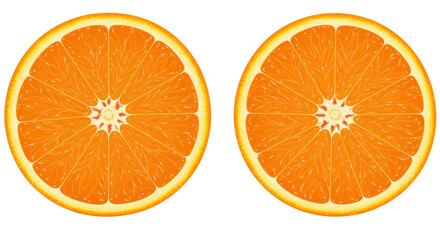 Isolated orange slices