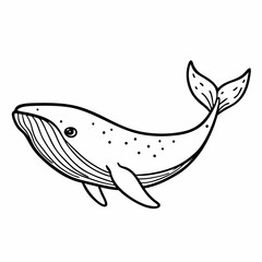 Hand Drawn Whale  Illustration Charming Line Art Ocean Animal Design