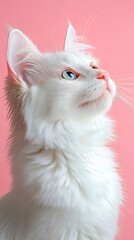 Fototapeta premium Elegant White Cat with Striking Blue Eyes Against a Soft Pink Background in a Stunning Close-Up Portrait