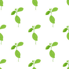 Seamless vector texture with green sprout. Background with a young plant on a white background. Grass. Spring vector illustration.