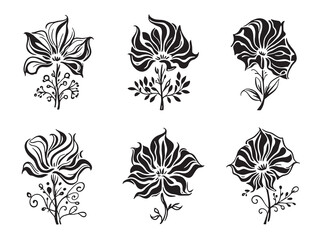 Delphinium Line Art Detailed Artistic Depictions of Beautiful Flower Blooms 