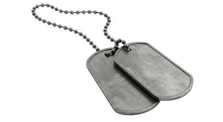 Isolated Military Dog Tags