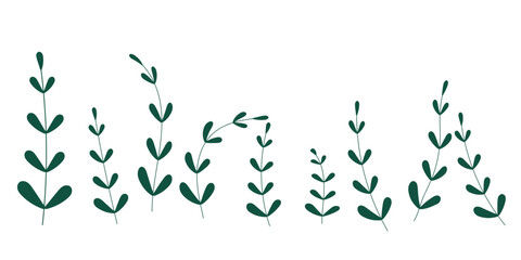 vector illustration of a floral tree branch