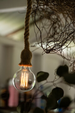Decorative tungsten bulb with large filaments hanging from a rope fitting with blurred background