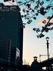 silhouette of a city