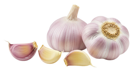 Isolated Garlic