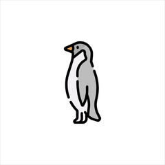 penguin vector illustration