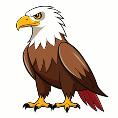 Eagle isolated clipart on white background