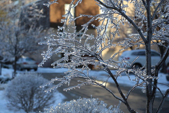 ice rain