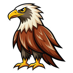 Eagle isolated clipart on white background