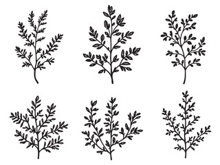 Heather line art depicting elegance and simplicity in design 