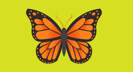butterfly vector illustration