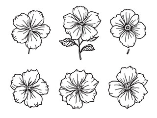 Obraz premium Impatiens Line Art Floral Beauty in Delicate Black and White 